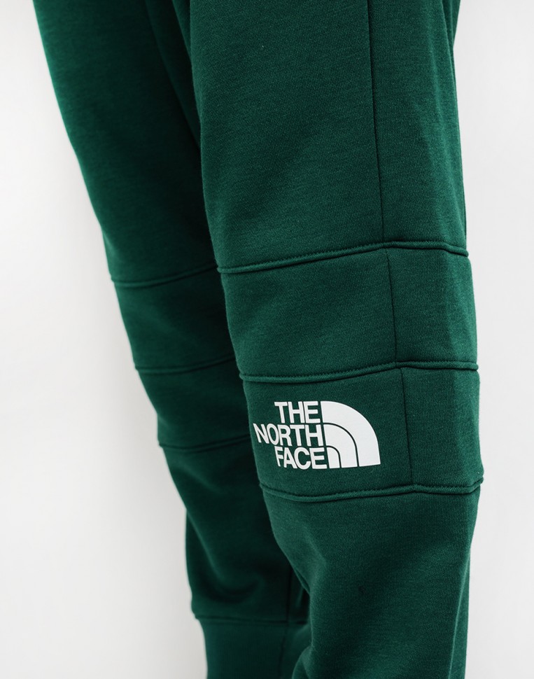 фото Брюки спортивные мужские the north face m lht pant night green