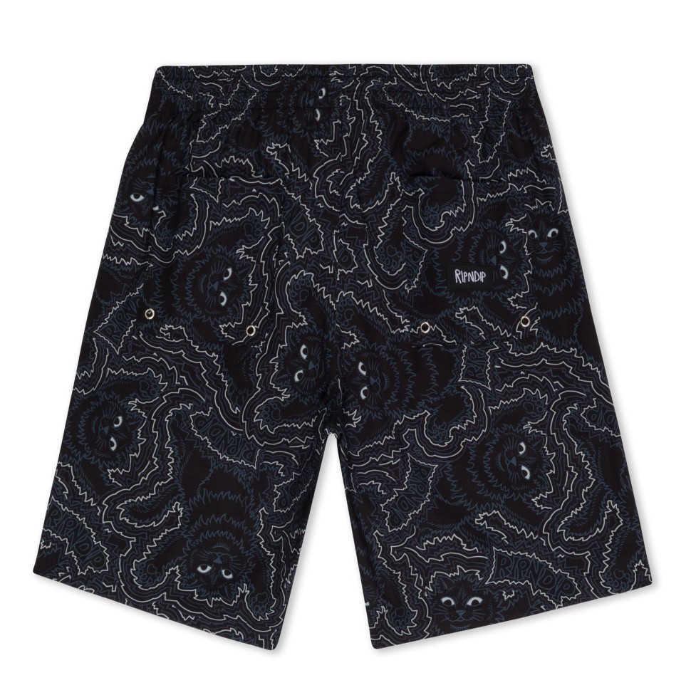 Шорты RIPNDIP Big Pussy Energy Swim Shorts Black фото 2
