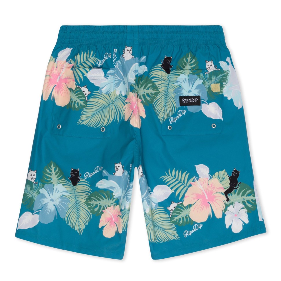 Шорты RIPNDIP Pablo Swim Shorts Blue фото 2