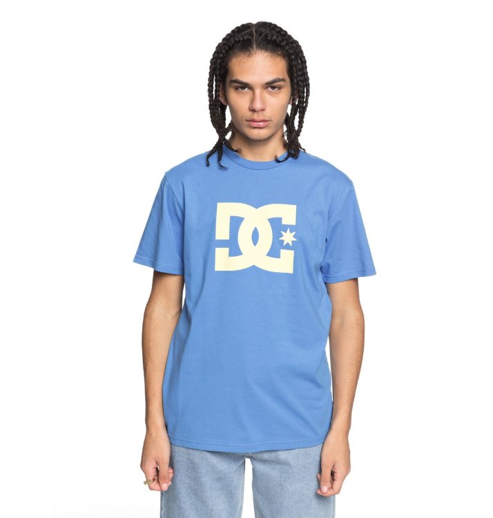 Футболка мужская DC SHOES Star Ss M Campanula/ Lemon Meringue, фото 1