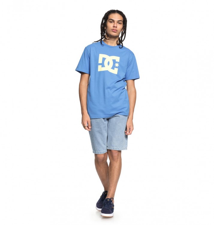Футболка мужская DC SHOES Star Ss M Campanula/ Lemon Meringue, фото 2