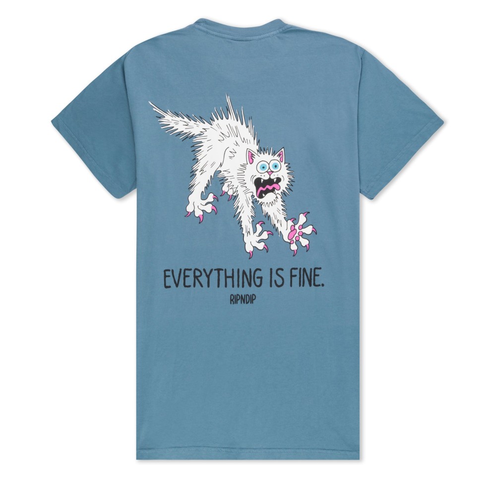 Футболка RIPNDIP Perfectly Calm Tee Slate фото 2