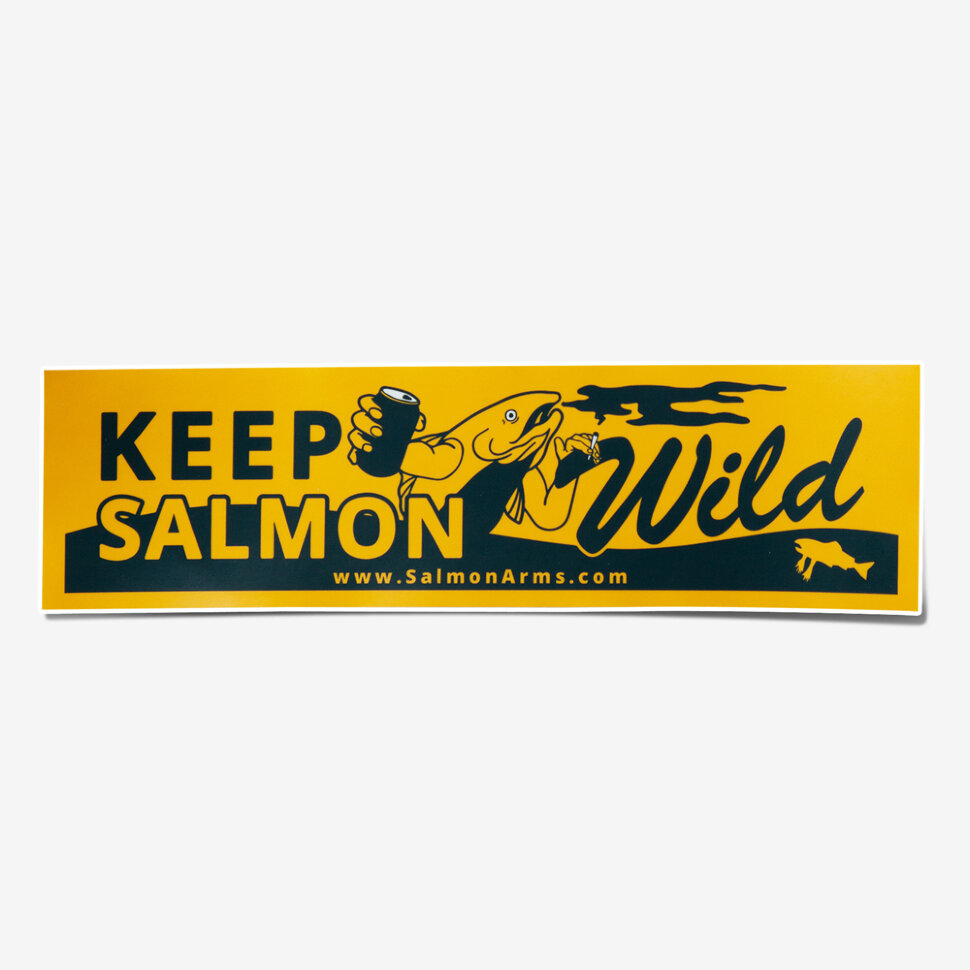 фото Наклейки salmon arms bumper 2021