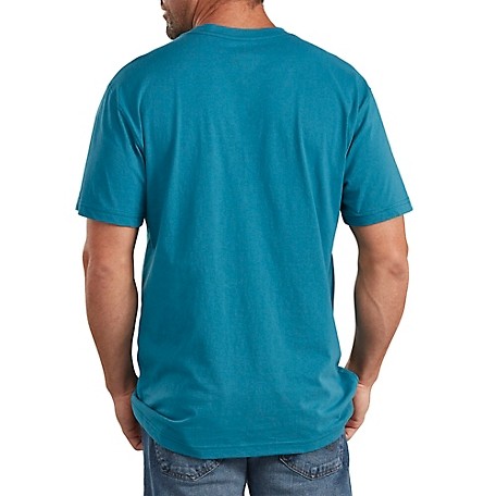 Футболка DICKIES Relaxed Fit Graphic Tee Teal 2023 фото 2