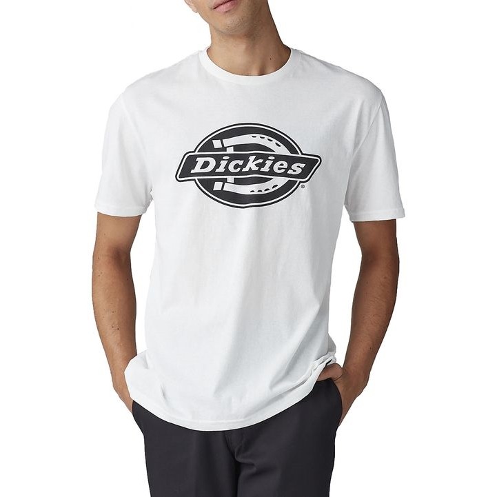 Футболка DICKIES Relaxed Fit Graphic Tee White 2023 2000000733401, размер S