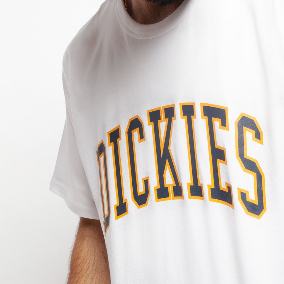 фото Футболка dickies aitkin tee white 2021