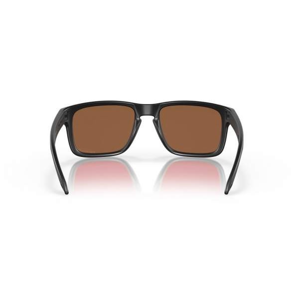 Очки солнцезащитные OAKLEY Holbrook Matte Black/Prizm Tungsten Polarized 2023 фото 2